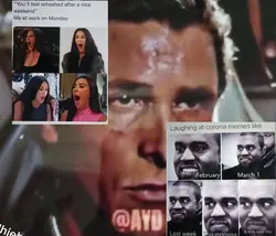 daily memes idea