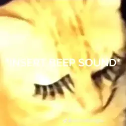 the way this took me