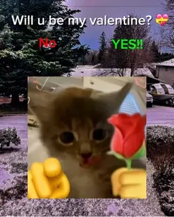 WILL YOU 🥺💝🤞