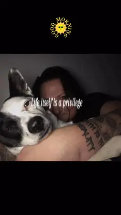 Dog love