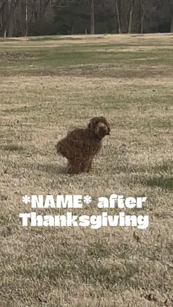 After Thanksgiving 