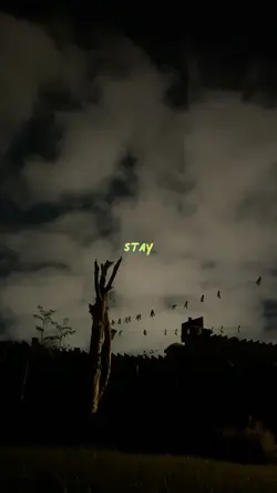 Stay 🖤🤍