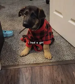 doggo 💓