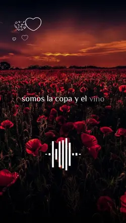 🥰🌹