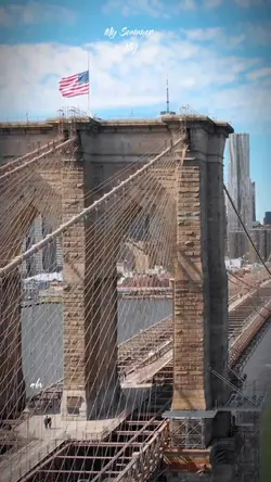 my Summer Ny