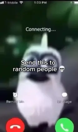 Bird FaceTime