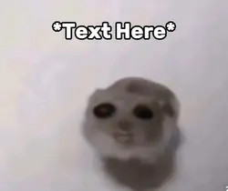 Animal singing 