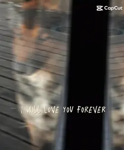 A Dogs Love 