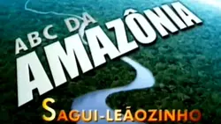 ABC da Amazônia 