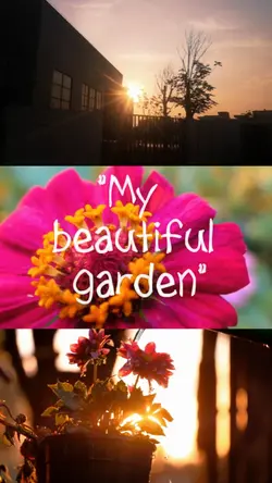 Meu lindo Jardim