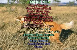 ABOUT ME 🌿