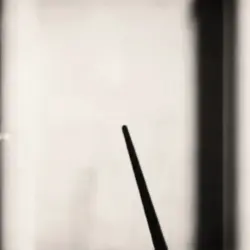 Edi