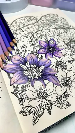 Livro de colorir