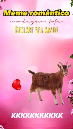 Meme romântico