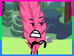 feather edit