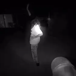 SHAKE IT 
