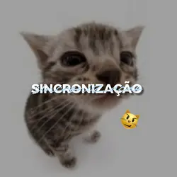 modelo simples