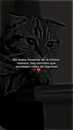 frases sad