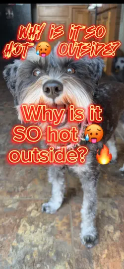 Why is it SO hot?
