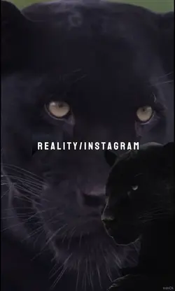 Reality/Instagram 📸