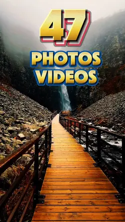 47 photos or videos 