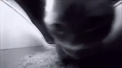 #capcut1min+
