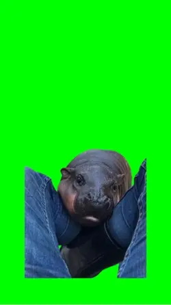 Be lhippo sticks