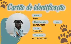 Carteira de ID