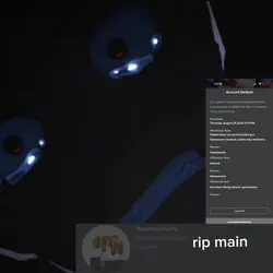 rip main