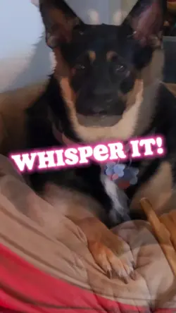 Whisper It