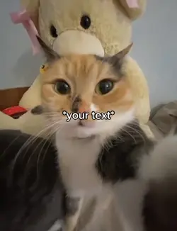 Mogged cat