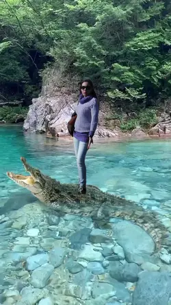 Jacaré 