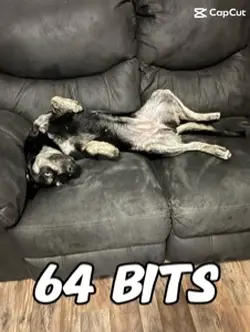 64 Bits🤩🤩🤩✨✨