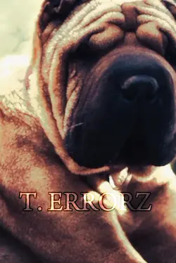 Chinese shar pei