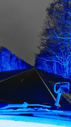 Blue Focus 
