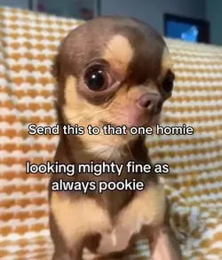 Mighty fine