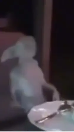 Goblin thingy?