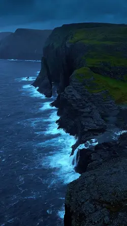 29 videos photos