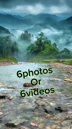 6photos/videos 