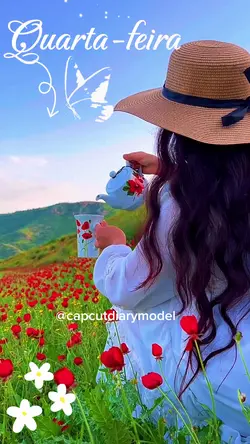 Data diar. editável