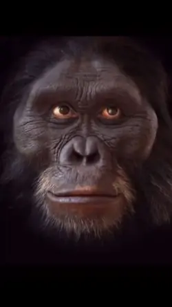 Monkey Evaluation 