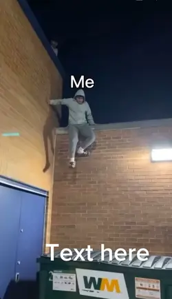 Dumpster meme 