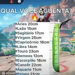libra e vc