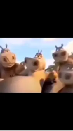 Bro