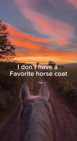 Buckskins!🤩