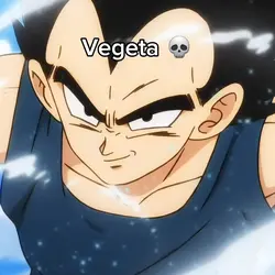 Vegeta Edit