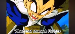 Vegeta’s stomach 😣