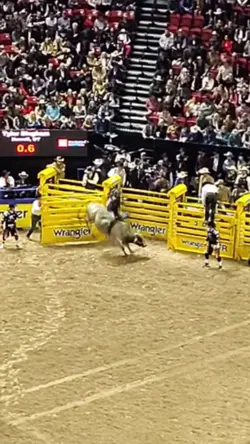 Bull riding