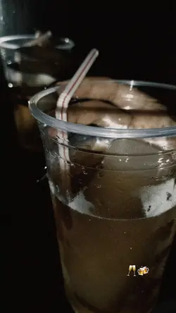 musica/bebidas