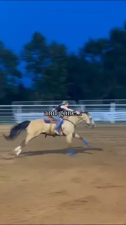 He got 3 speeds💁‍♀️
